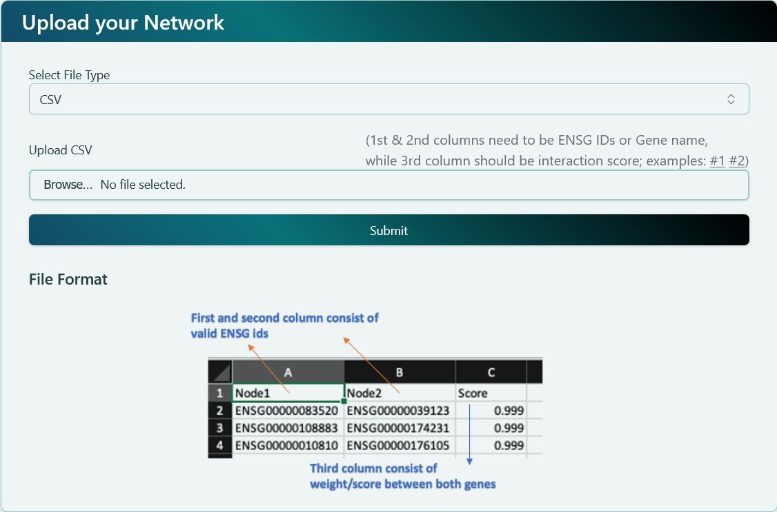 Custom network file upload