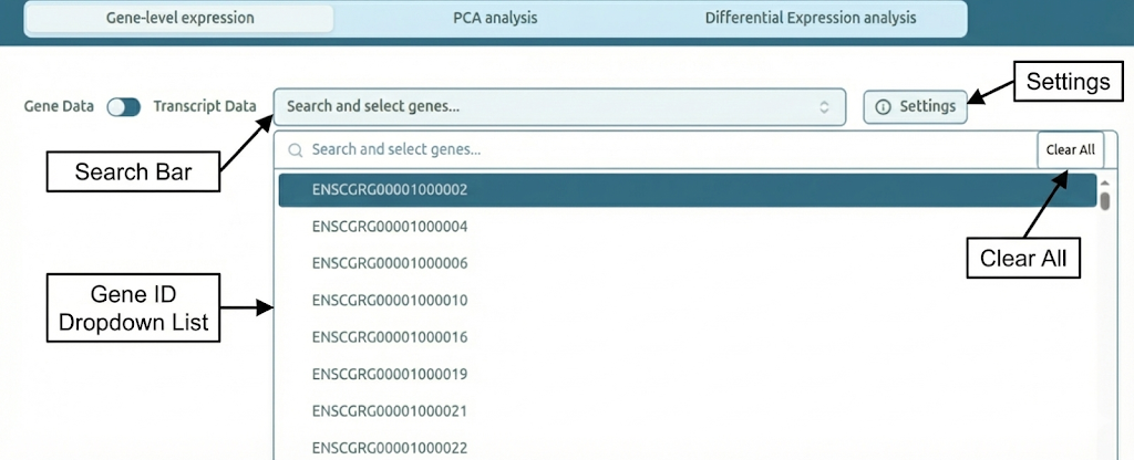 Expression type selector