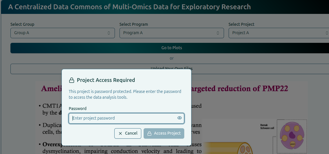 Password prompt for protected dataset